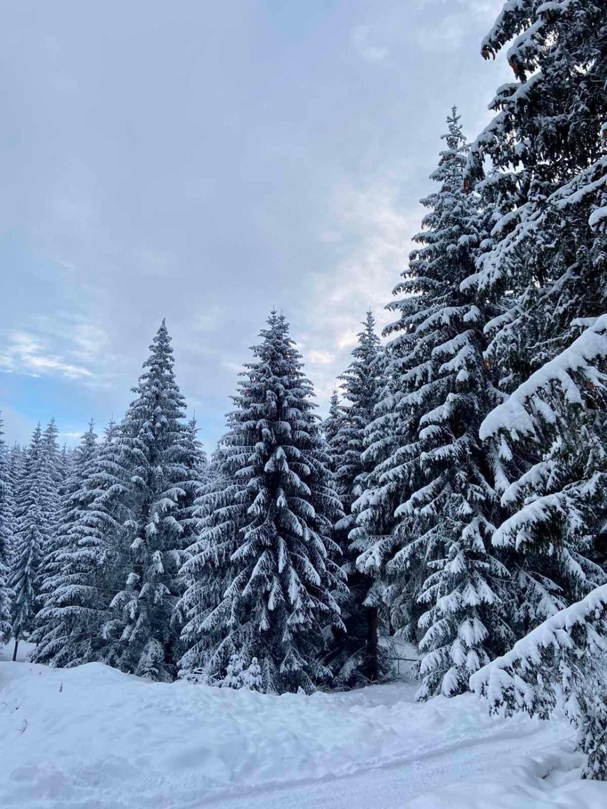Dzeni Chalet Vlasic