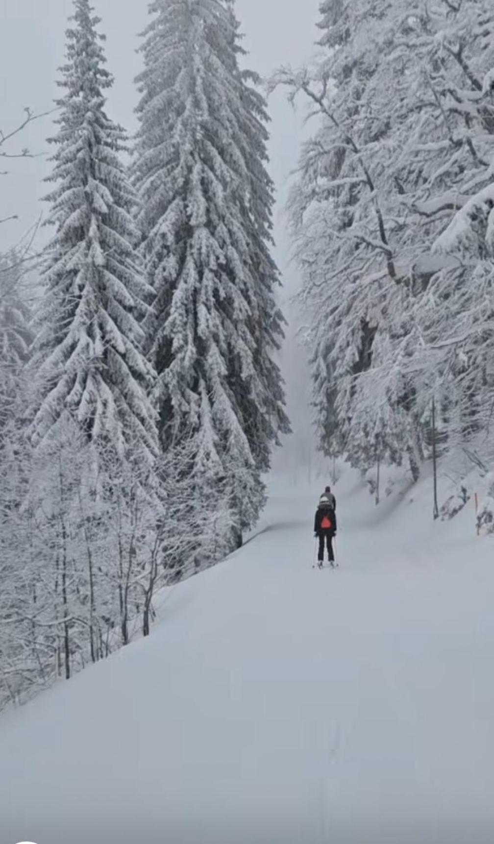 Dzeni Chalet *