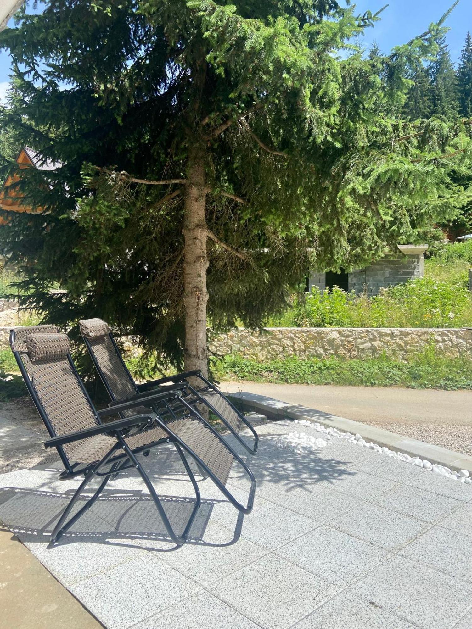 Chalet Dzeni